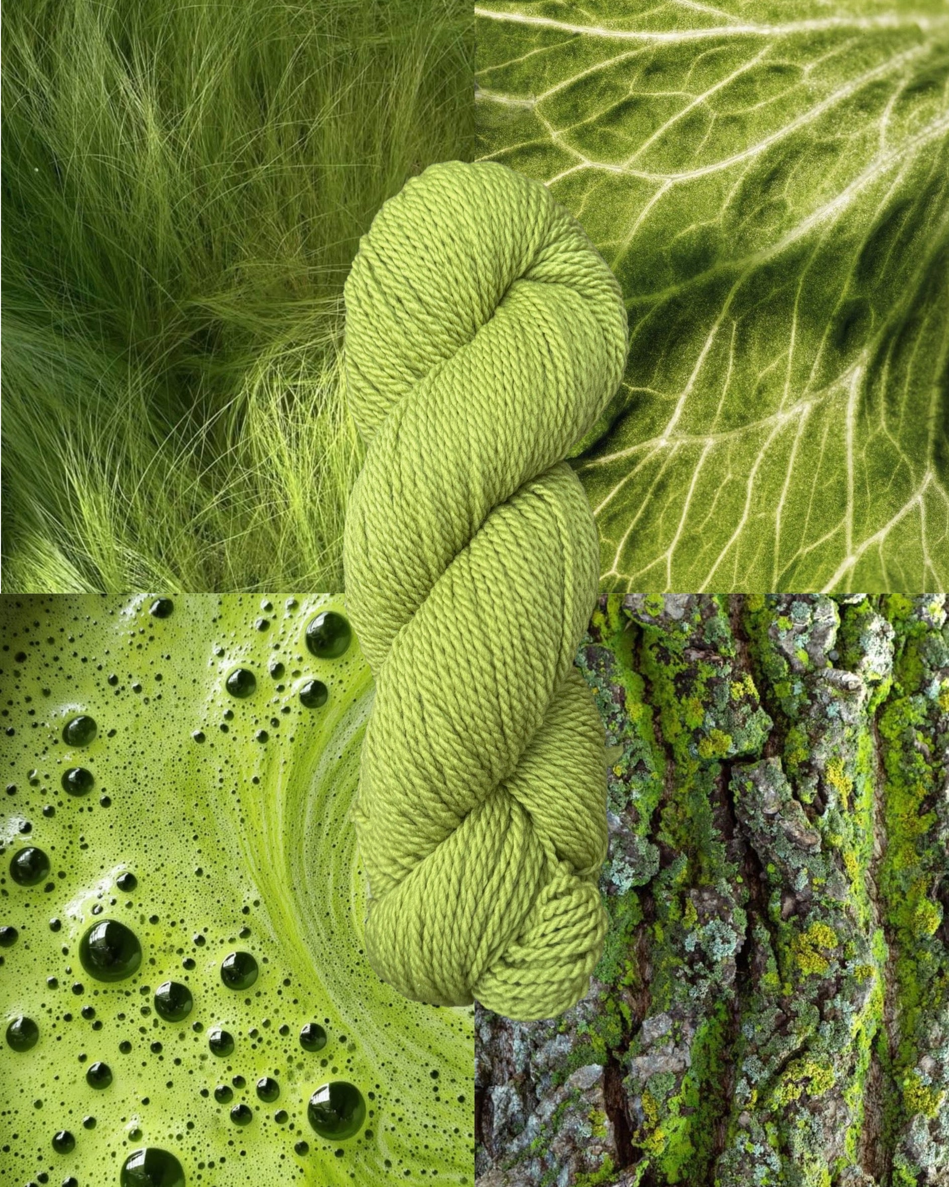 Bloom by VCL Yarn