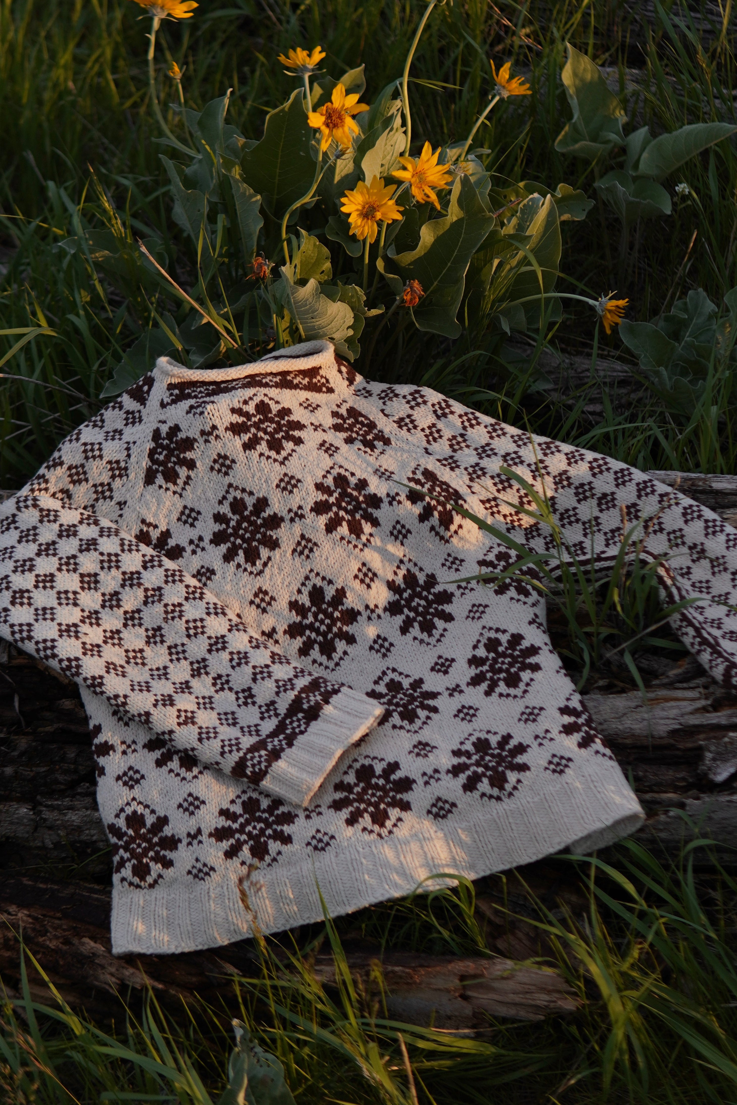 Balsamroot Sweater Knitting Kit