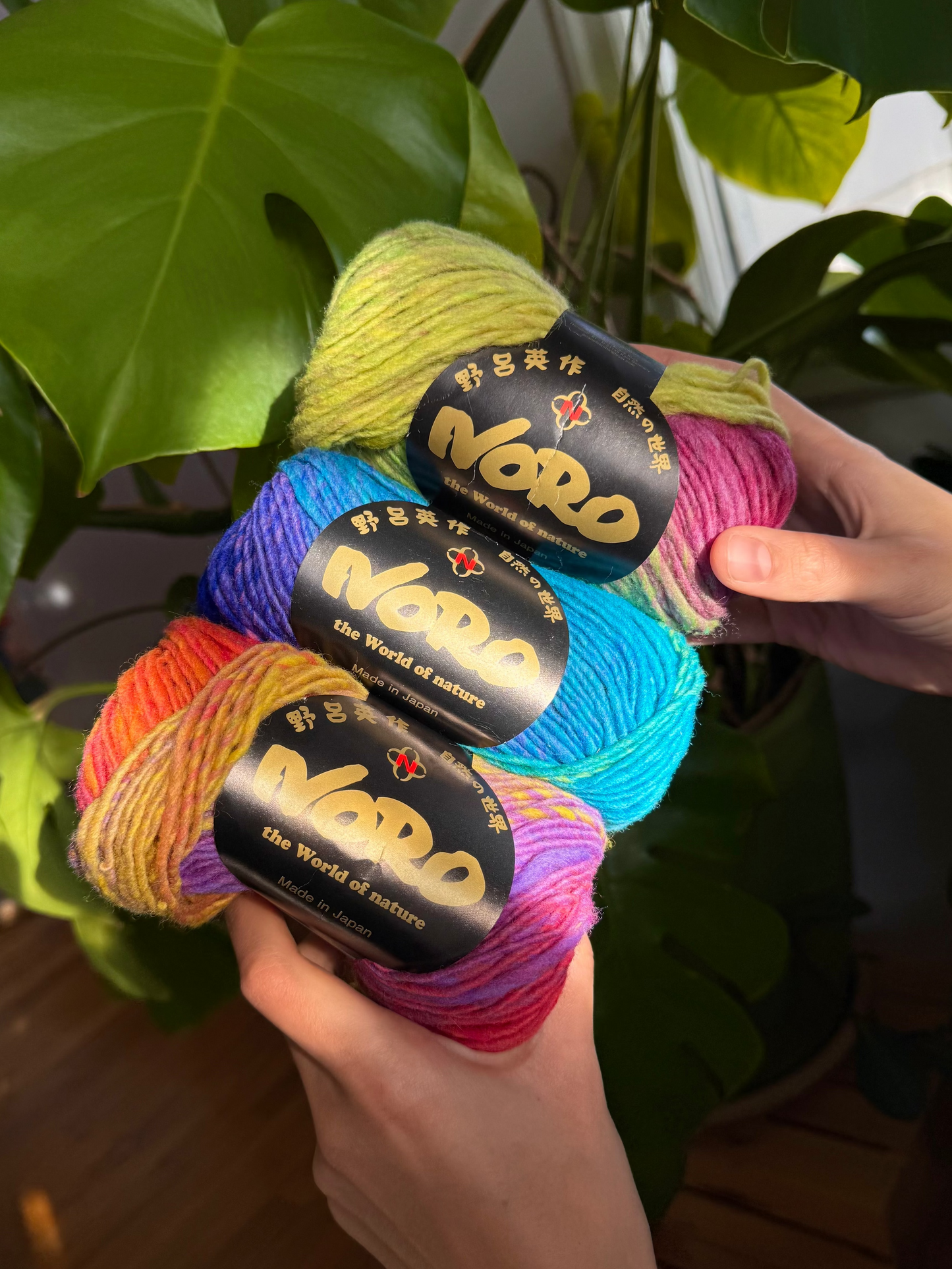 Noro Kureyon Yarn