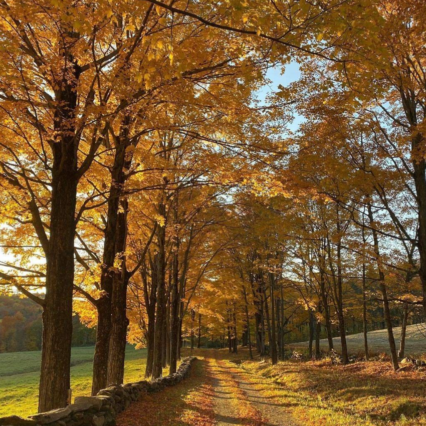 Vermont Knitting Retreat Deposit