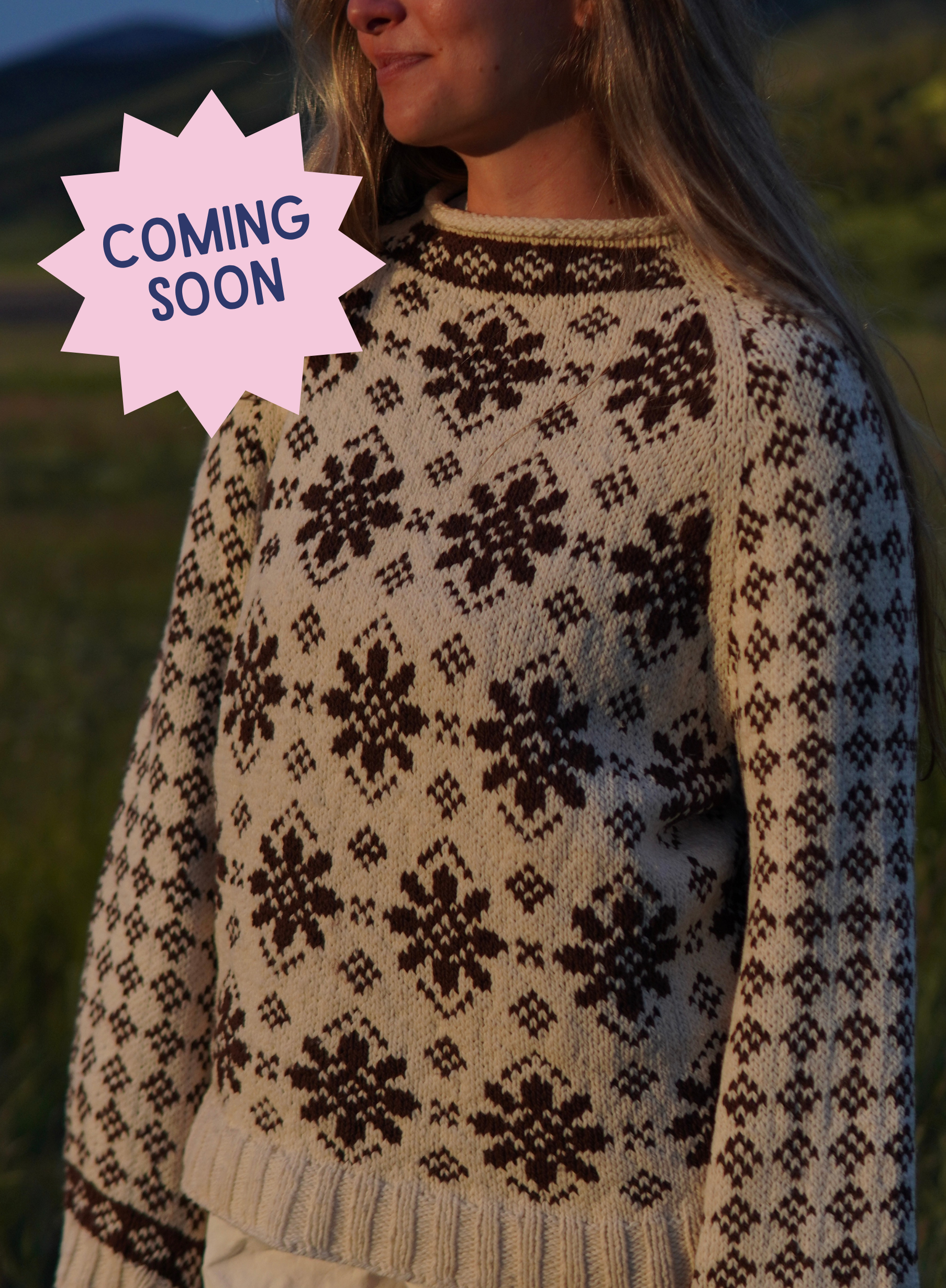 Balsamroot Sweater Knitting Kit