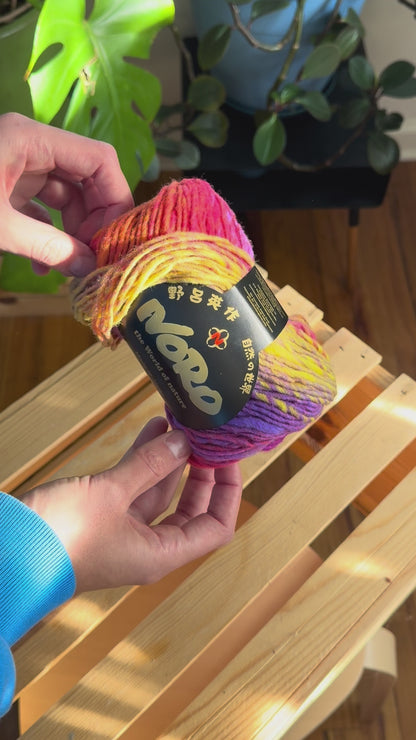 Noro Kureyon Yarn